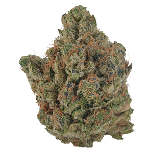 VOLO - Orange Turpentine - Sativa - 3.5g
