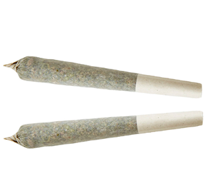 XPLOR - Indica Pre-roll - 1x1g